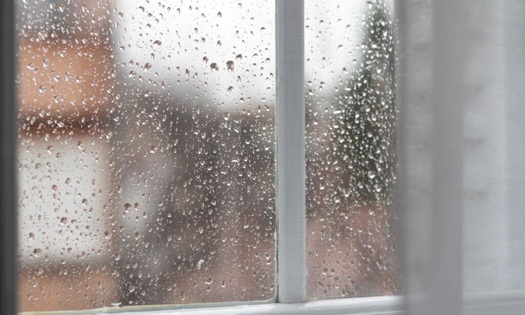 rainy day