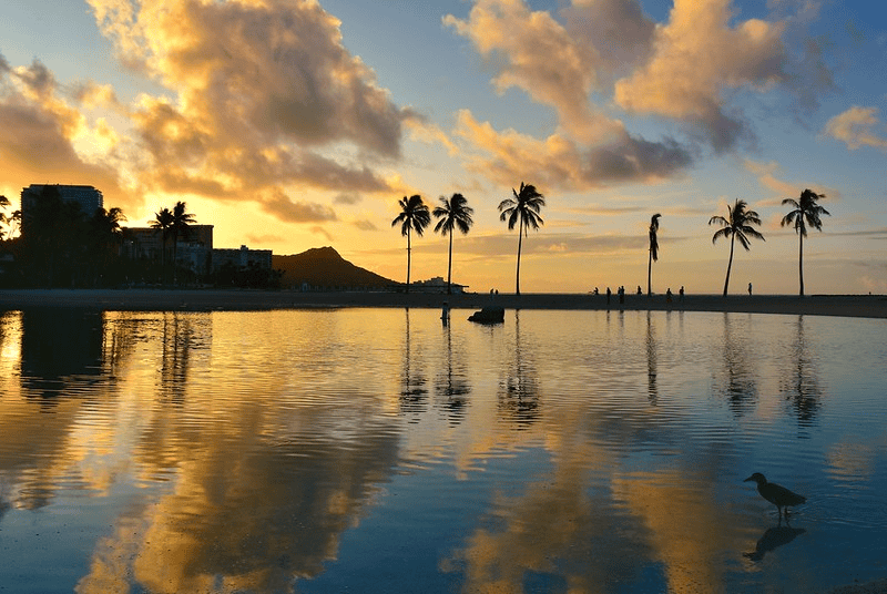 Waikiki sunrise at Hilton Lagoon