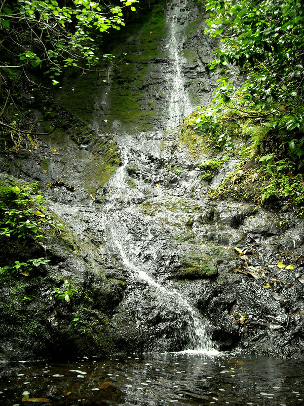 Likelike Falls in Oahu
