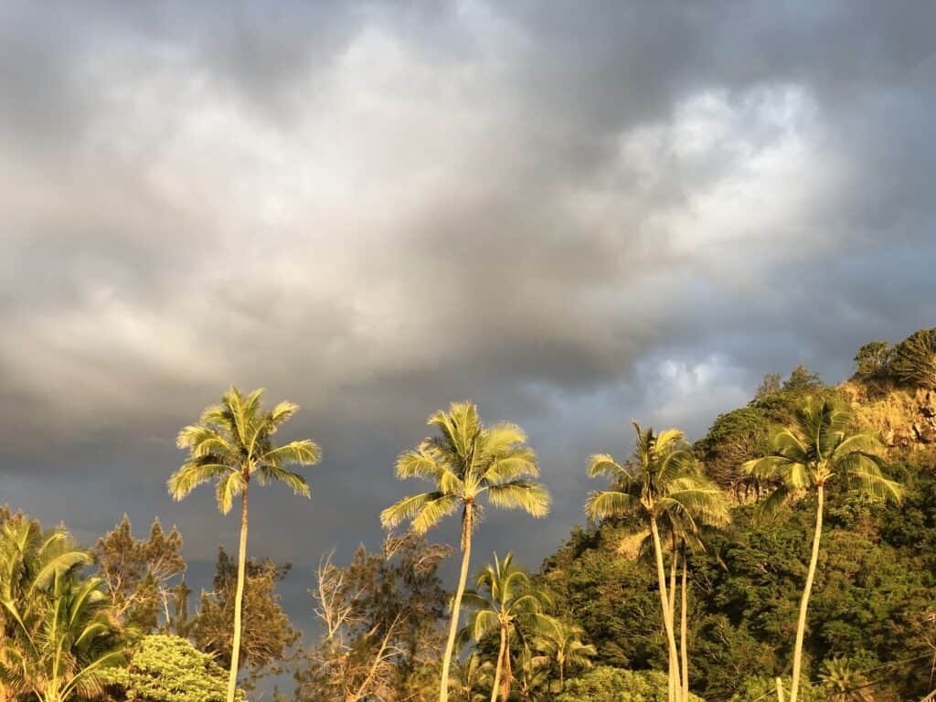 storm clouds above trees and mountains in Oahu 