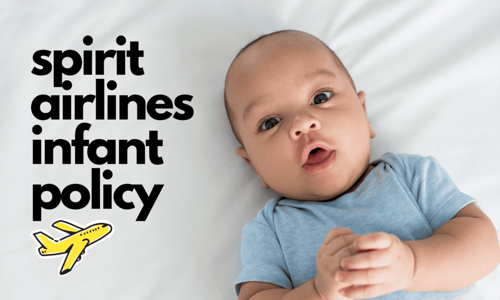 spirit airlines' infant policy