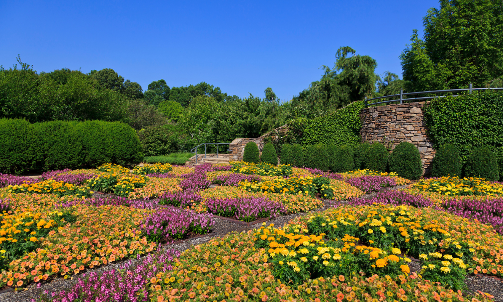 Asheville Gardens