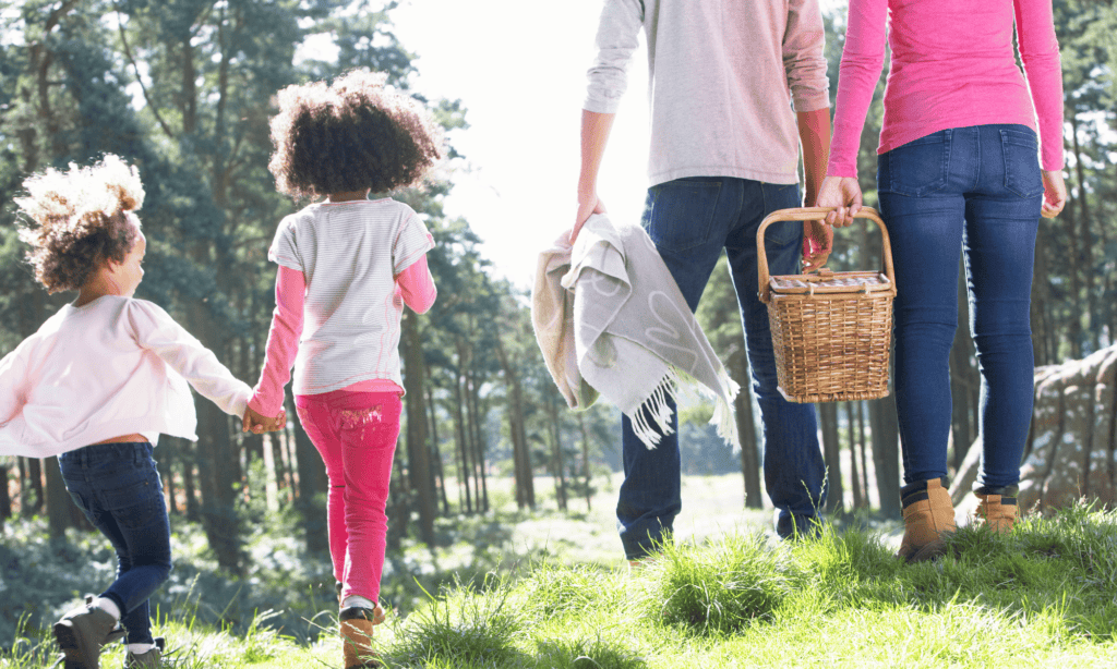 family picnic
