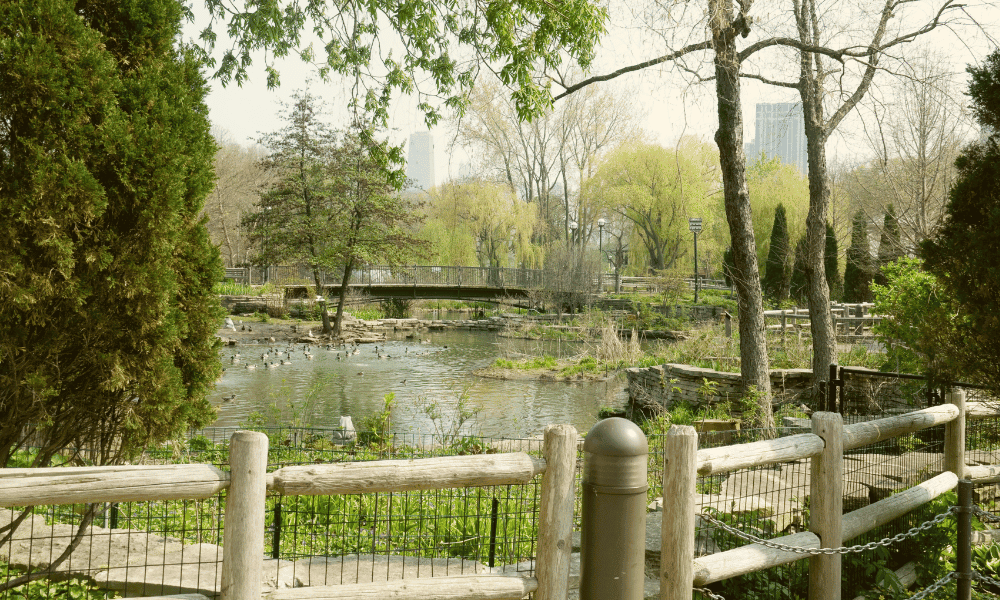 Lincoln Park Zoo Chicago
