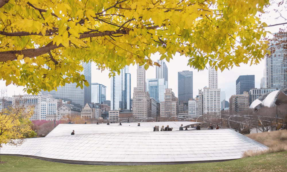 Maggie Daley Park