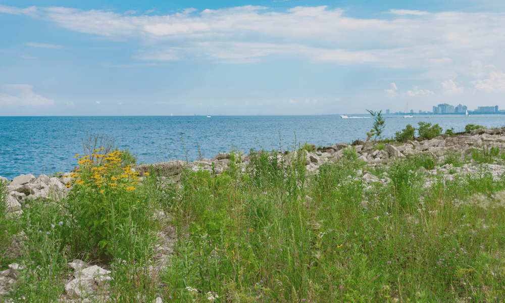 northerly island