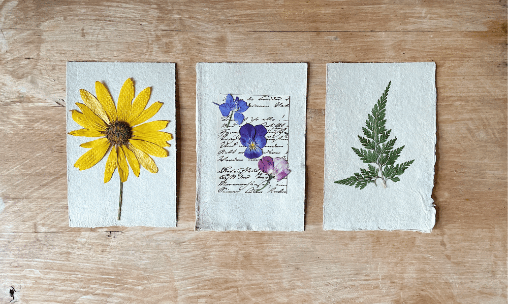 pressed flowers