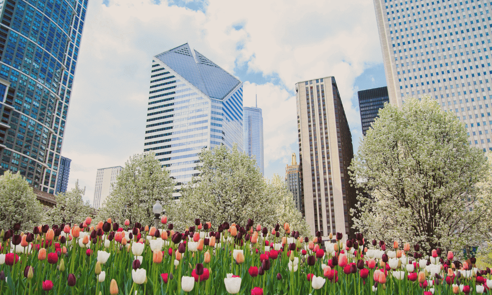 spring in chicago