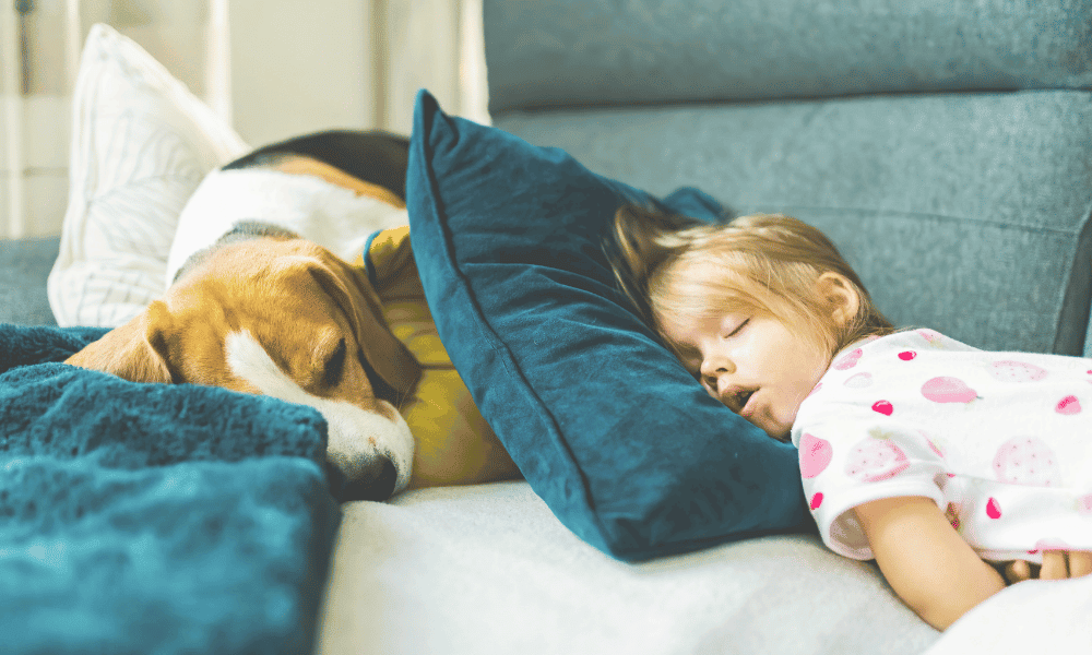nap on couch